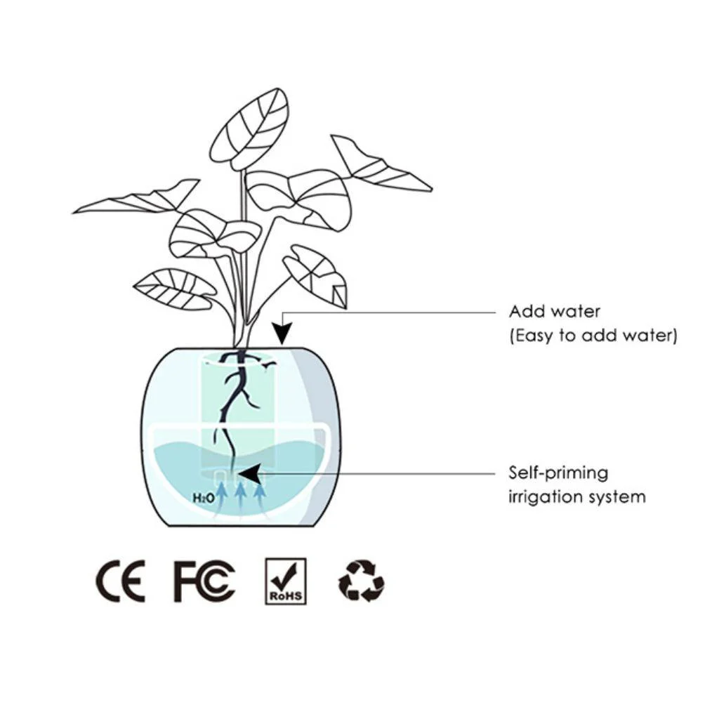 smart-plant-ivy-evolved_9 Smart Plant Ivy Evolved 9