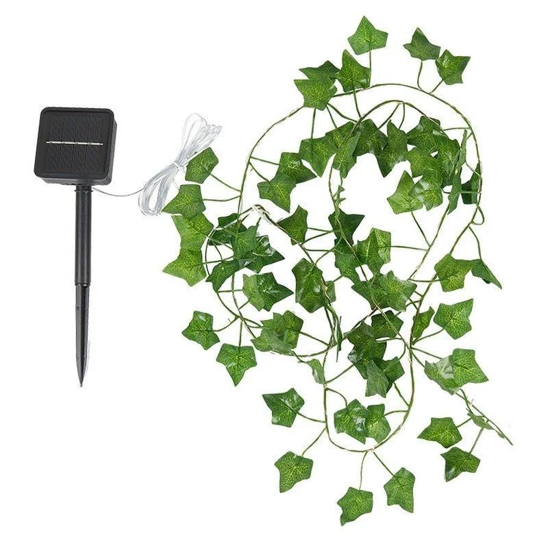 solar-ivy-string-lights-489501_e3300d0d-b1a1-4d90-b22e-881dbde092de Solar Ivy String Lights 489501 E3300d0d B1a1 4d90 B22e 881dbde092de