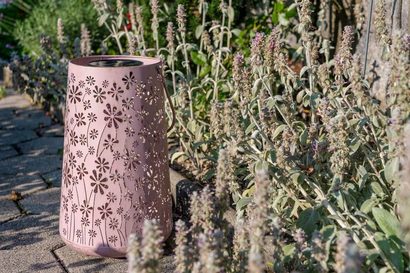 solarlampe-daisy-altrosa-46x28cm-2 Solarlampe Daisy Altrosa 46x28cm 2