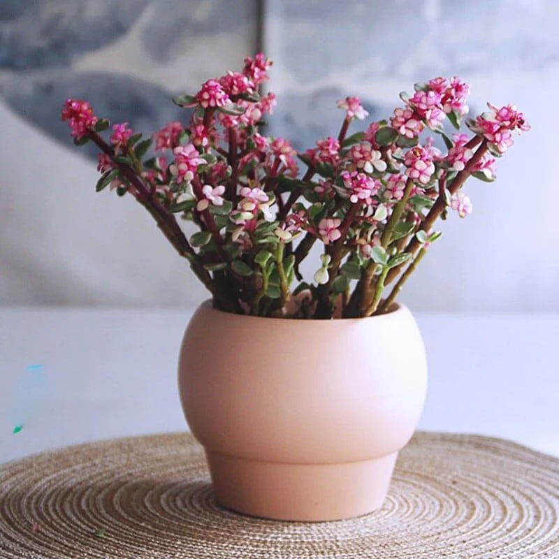 syrene-vase-mademoiselle-home-decor-and-furniture-store-3 Syrene Vase Mademoiselle Home Decor And Furniture Store 3