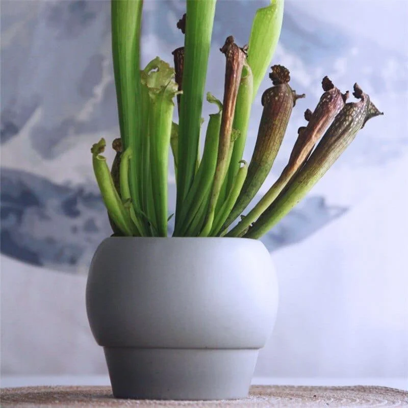 syrene-vase-mademoiselle-home-decor-and-furniture-store-4 Syrene Vase Mademoiselle Home Decor And Furniture Store 4