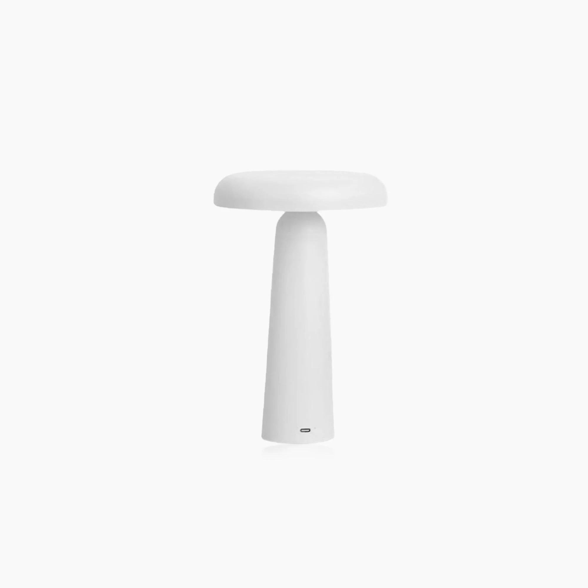 tilitedmushroomwhite Tilitedmushroomwhite