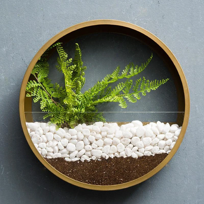 wallplantvase05_5c5baa01-0ad5-4c6b-a2d8-94dc75c8d4f8 Wallplantvase05 5c5baa01 0ad5 4c6b A2d8 94dc75c8d4f8