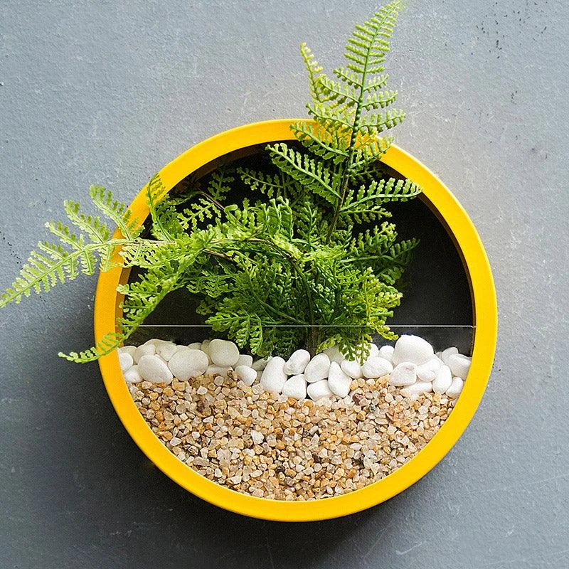 wallplantvase06_0142ae42-210b-4802-9ec3-8d78badef43d Wallplantvase06 0142ae42 210b 4802 9ec3 8d78badef43d