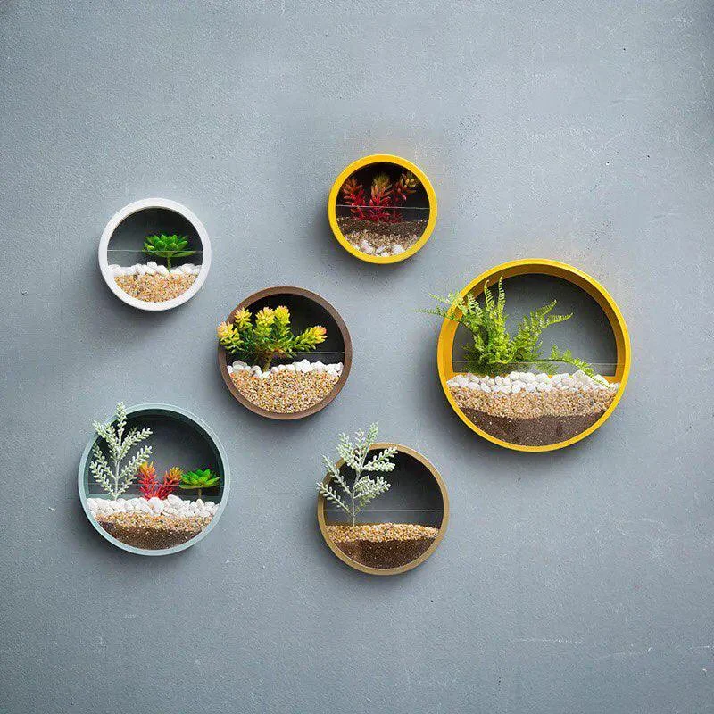 wallplantvase_806c3c37-b751-4952-a8c0-d1f77b3069d2 Wallplantvase 806c3c37 B751 4952 A8c0 D1f77b3069d2