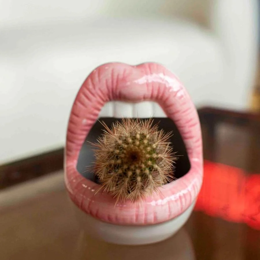 wickedaf-pink-lips-ceramic-planter-18194503925909_900x_be4abfc7-eae8-44db-9ef0-80dbcfda3d98 Wickedaf Pink Lips Ceramic Planter 18194503925909 900x Be4abfc7 Eae8 44db 9ef0 80dbcfda3d98