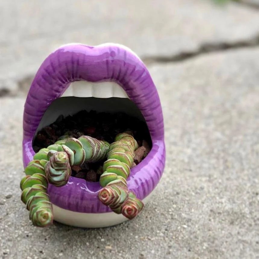 wickedaf-purple-lips-ceramic-planter-18194503893141_900x_02519331-94a7-425a-a3b7-a8e8ba42d65e Wickedaf Purple Lips Ceramic Planter 18194503893141 900x 02519331 94a7 425a A3b7 A8e8ba42d65e