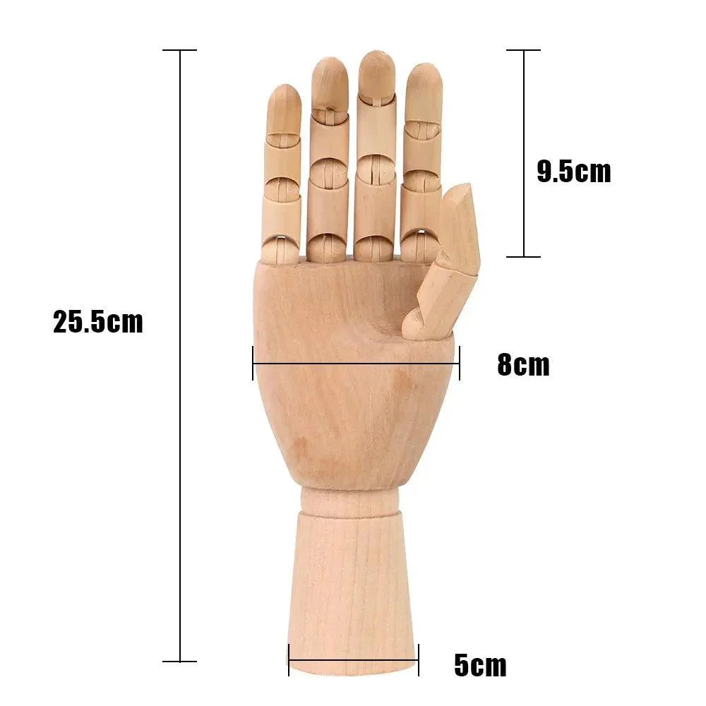 Wooden Movable Hand Model 297657